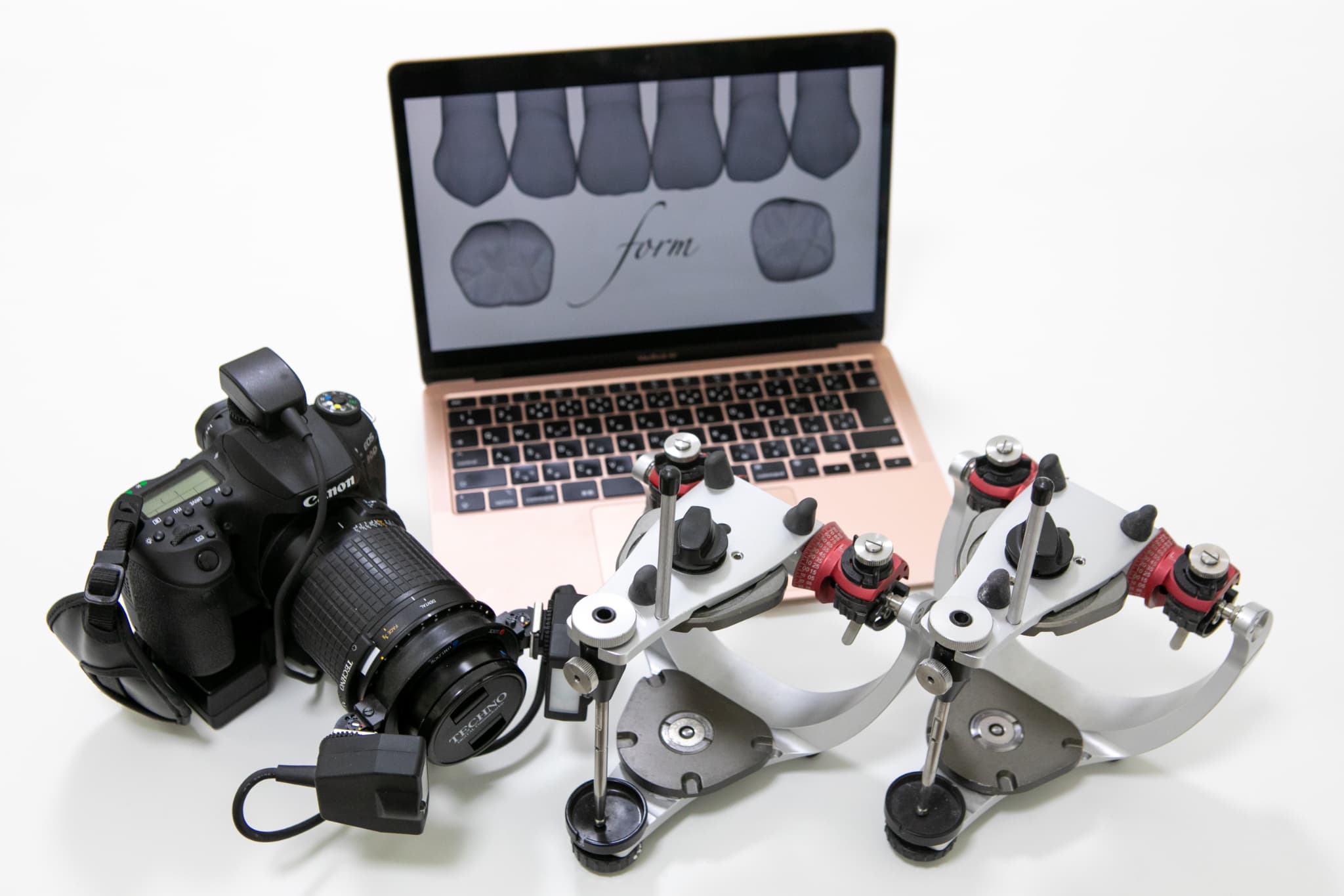 歯の模型に着色する歯科技工士