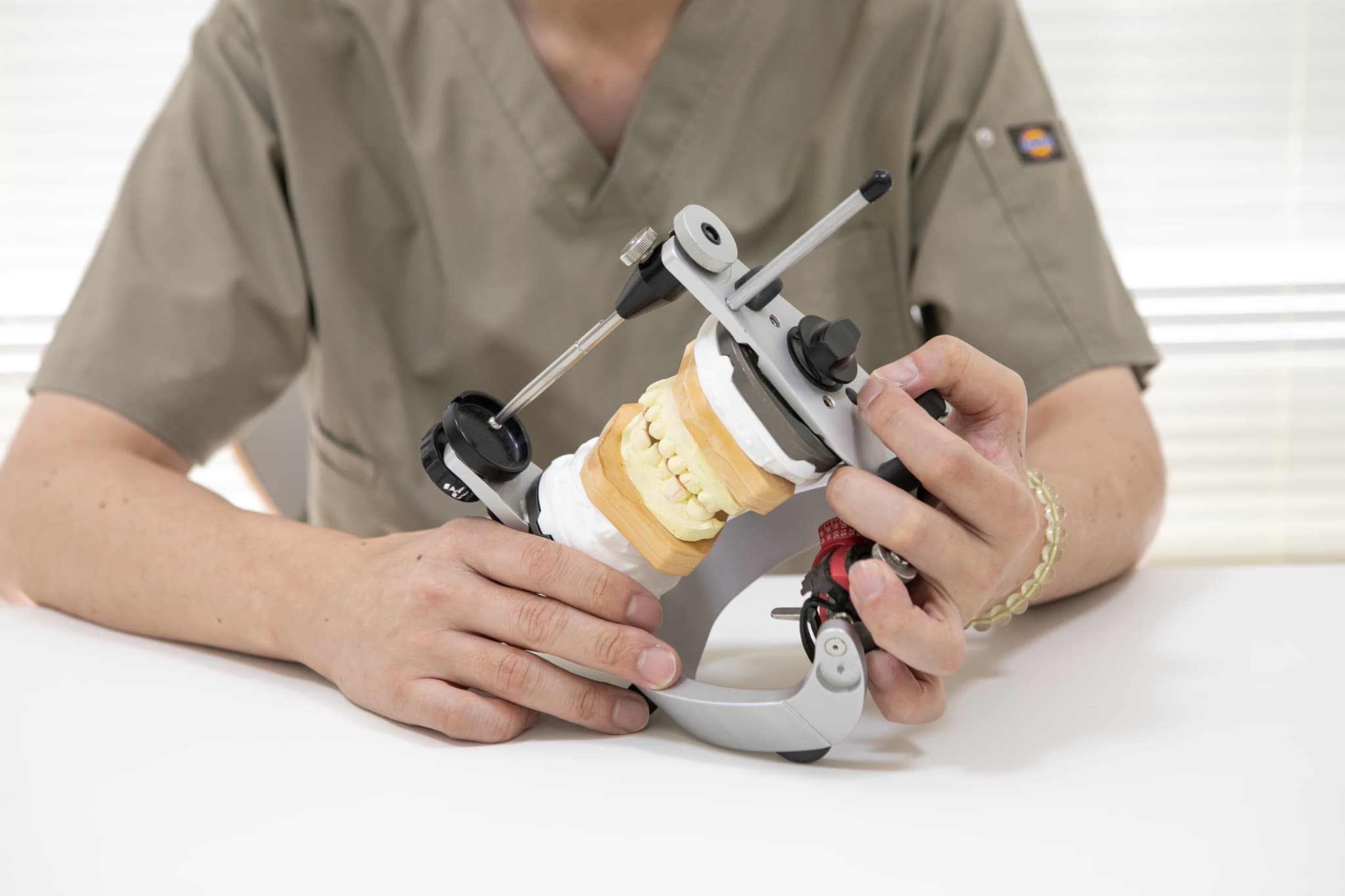 歯の模型の接着具合の確認