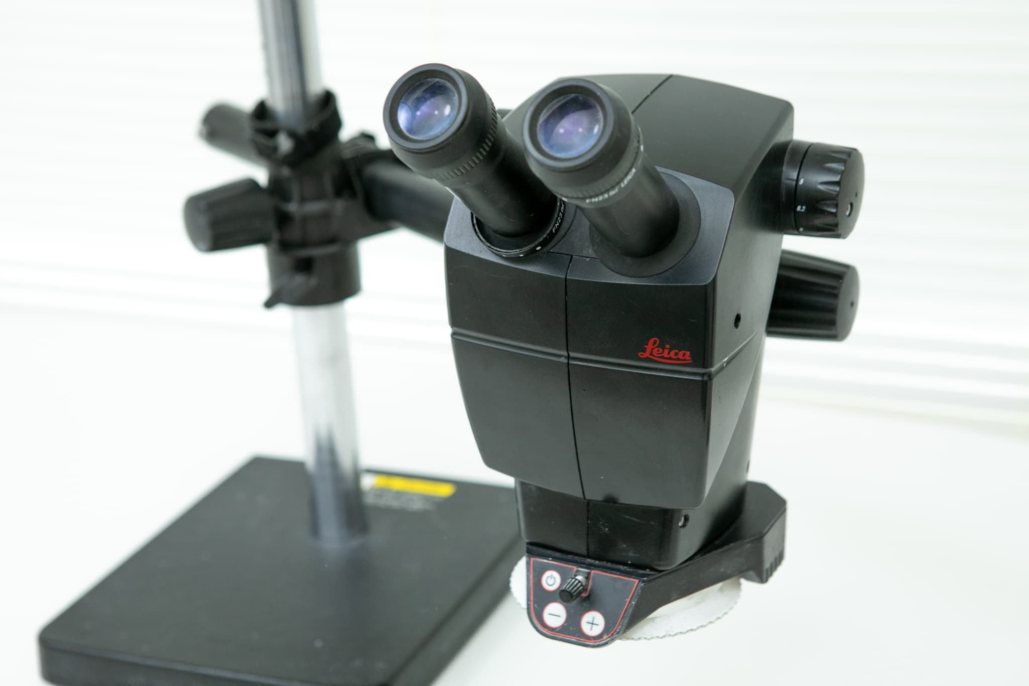 歯の模型の接着具合の確認