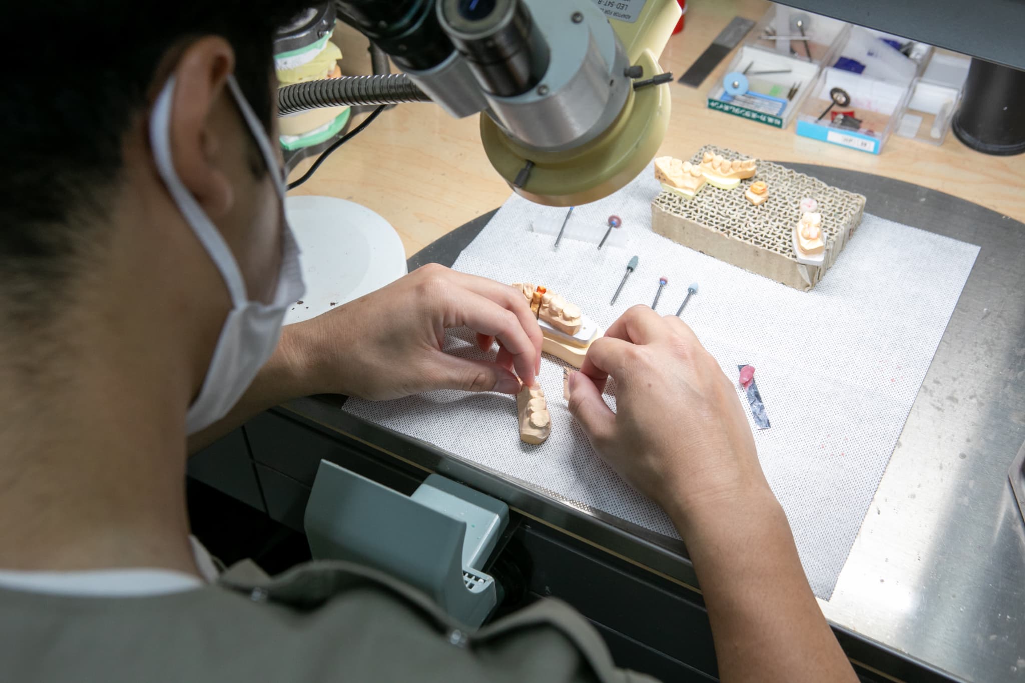 歯の模型に着色する歯科技工士