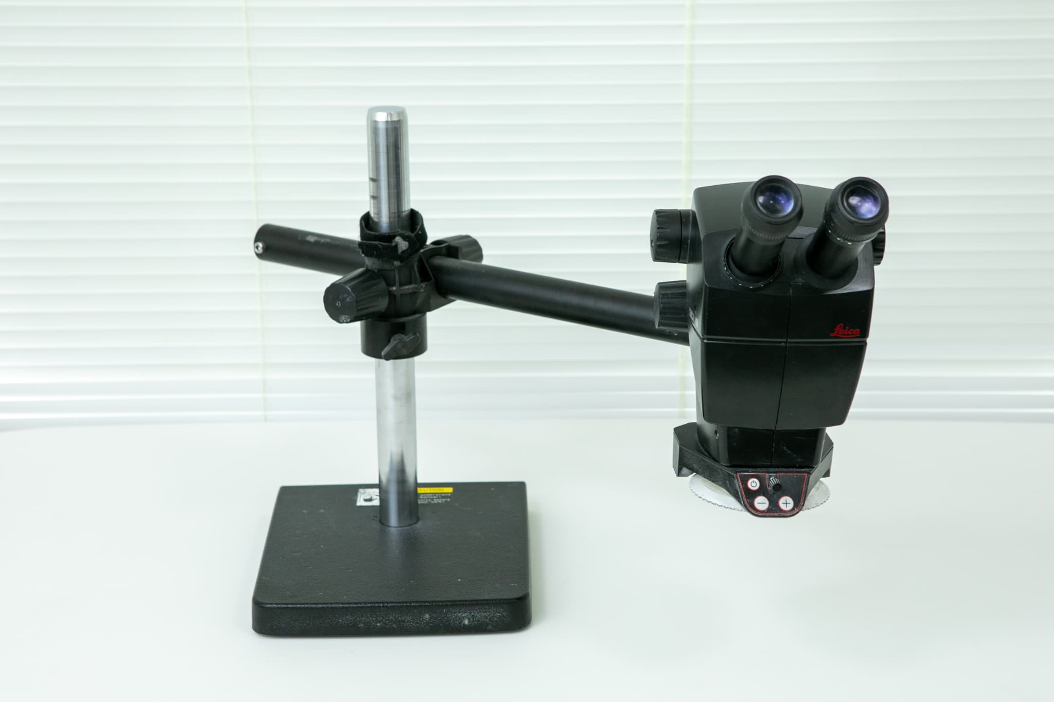 歯の模型に着色する歯科技工士